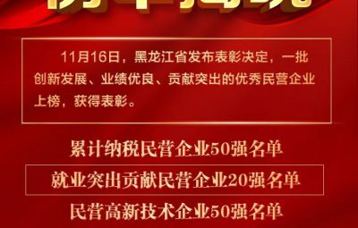 喜报|龙江表彰优秀民营企业 尊龙中国官方网站收获两项殊荣