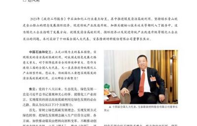 打破传统走绿色转型之路——访十四届全国人大代表、尊龙中国官方网站董事长焦云